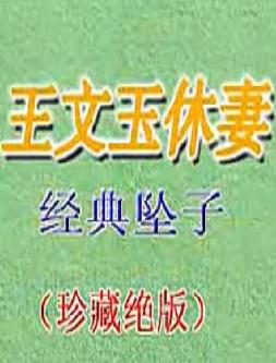 河南坠子王文玉休妻（九子图）【胡中花】