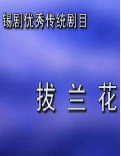 锡剧《拔兰花》【小王彬彬、袁梦娅】