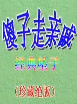 河南坠子《傻子走亲戚、死不丢带样、李万年教子》【胡中华】