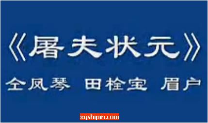 眉户《屠夫状元》选段：叫哥哥你莫要如此介意【仝凤琴田栓宝】