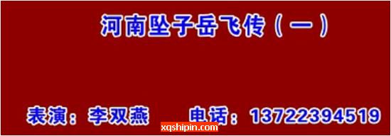 河南坠子《岳飞传》[李双燕]