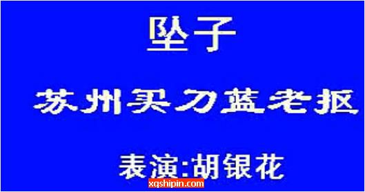 河南坠子《苏州买刀蓝老抠》全集[胡银花]