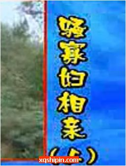 民间小调骚寡妇相亲【荆献顺】